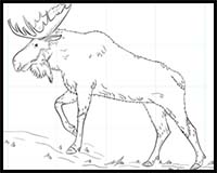 How to Draw a Moose