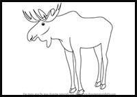 How to Draw a Moose