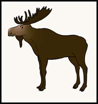 How to Draw a Moose
