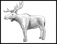 How to Draw a Moose