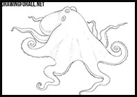 how to draw an octopus