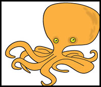 how to draw an octopus