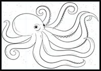 how to draw an octopus