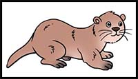 How to Draw an Otter