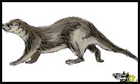 How to Draw an Otter