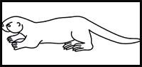 How to Draw a Sea Otter