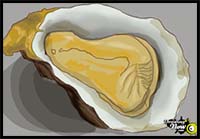 How to Draw an Oyster