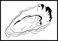 How to Draw an Oyster