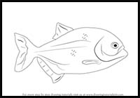 How to Draw a Piranha