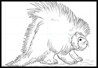 How to Draw a Porcupine