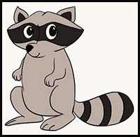 How to Draw a Raccoon