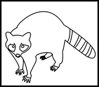 How to Draw a Raccoon