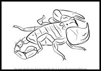How to Draw a Scorpion