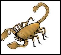 How to Draw a Scorpion