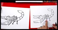 How to Draw a Scorpion