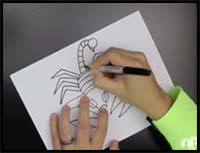 How to Draw a Scorpion