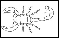 How to Draw a Scorpion