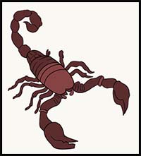 How to Draw a Scorpion