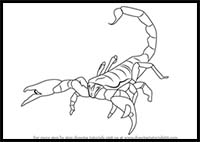 How to Draw an Emperor Scorpion