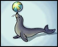 How to Draw a Cartoon Seal
