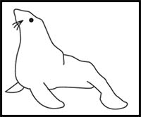How to Draw a Seal