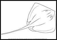 How to Draw a Stingray