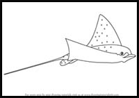 How to Draw a Spotted Eagle Ray