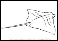 How to Draw a Cownose Ray