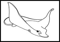 How to Draw a Spotted Eagle Ray