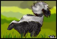 How to Draw a Skunk