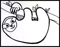 How to Draw a Sloth (Cute)