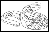 How to Draw a Leaf-Scaled Sea Snake