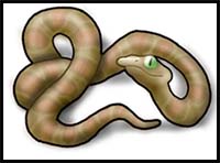 How to Draw a Snake