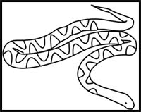 How to Draw a Snake