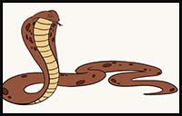 How to Draw a Cobra