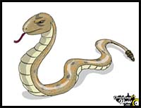 How to Draw a Snake Step by Step