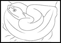 How to Draw a Golden Lancehead