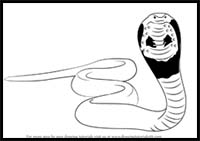 How to Draw a Snake