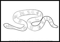 How to Draw a Leaf-Scaled Sea Snake