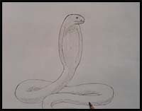 How to Draw a Snake
