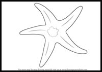 How to Draw a Starfish