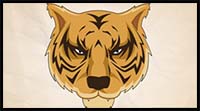 How to Draw a Tiger