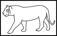 How to Draw a Tiger