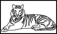 How to Draw a Bengal Tiger