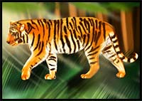 How to Draw a Siberian Tiger