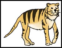 How to Draw a Tiger