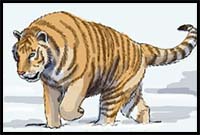 How to Draw a Siberian Tiger