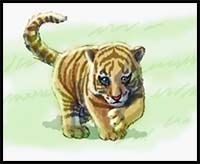 How to Draw a Baby Tiger