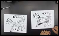 How to Draw a Tiger