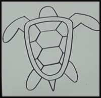 How to Draw a Sea Turtle